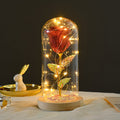 Eternal Rose LED Glass Dome Gift