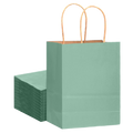 Seafoam Green Large Gift Bags with Handles (60 Pack) - 13 x 10 x 5"