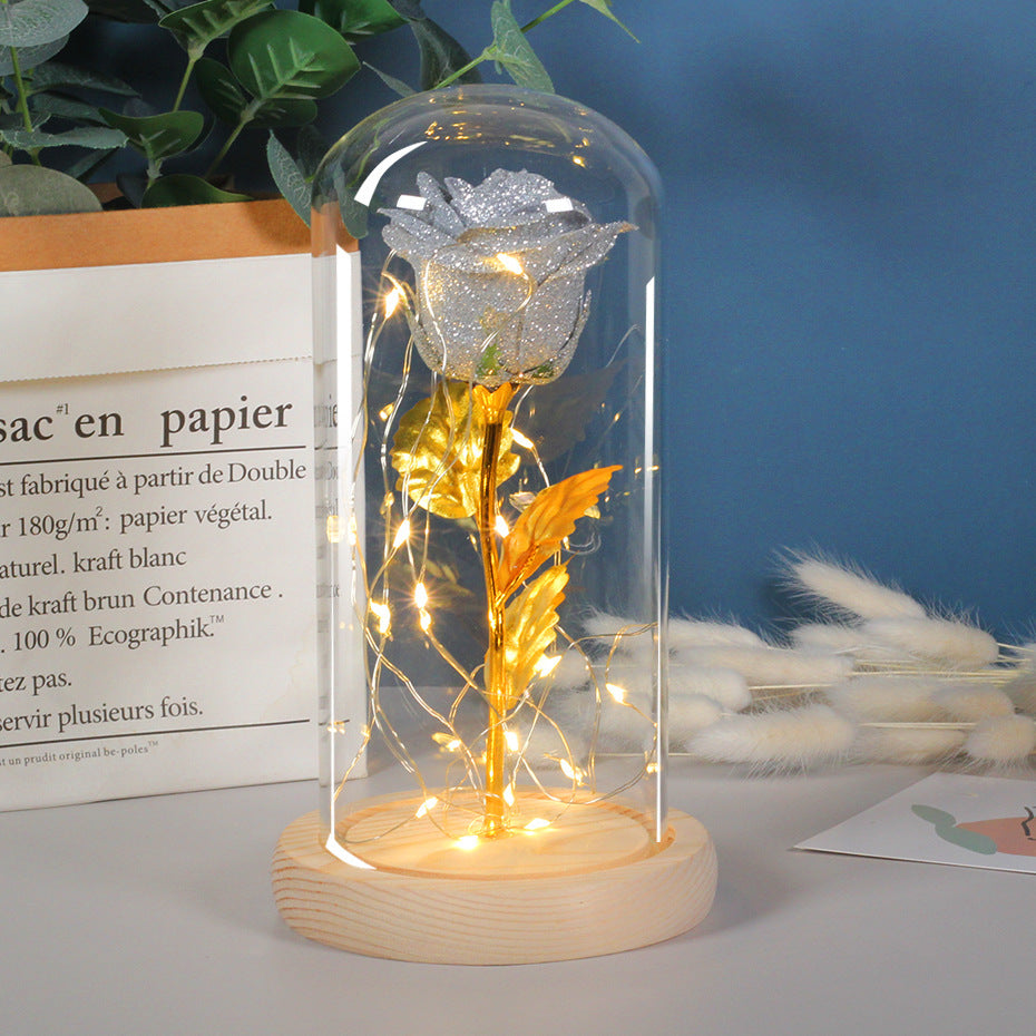 Eternal Rose LED Glass Dome Gift
