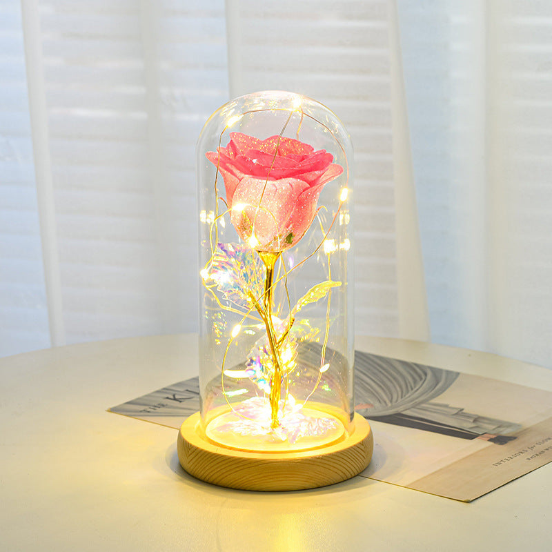 Eternal Rose LED Glass Dome Gift
