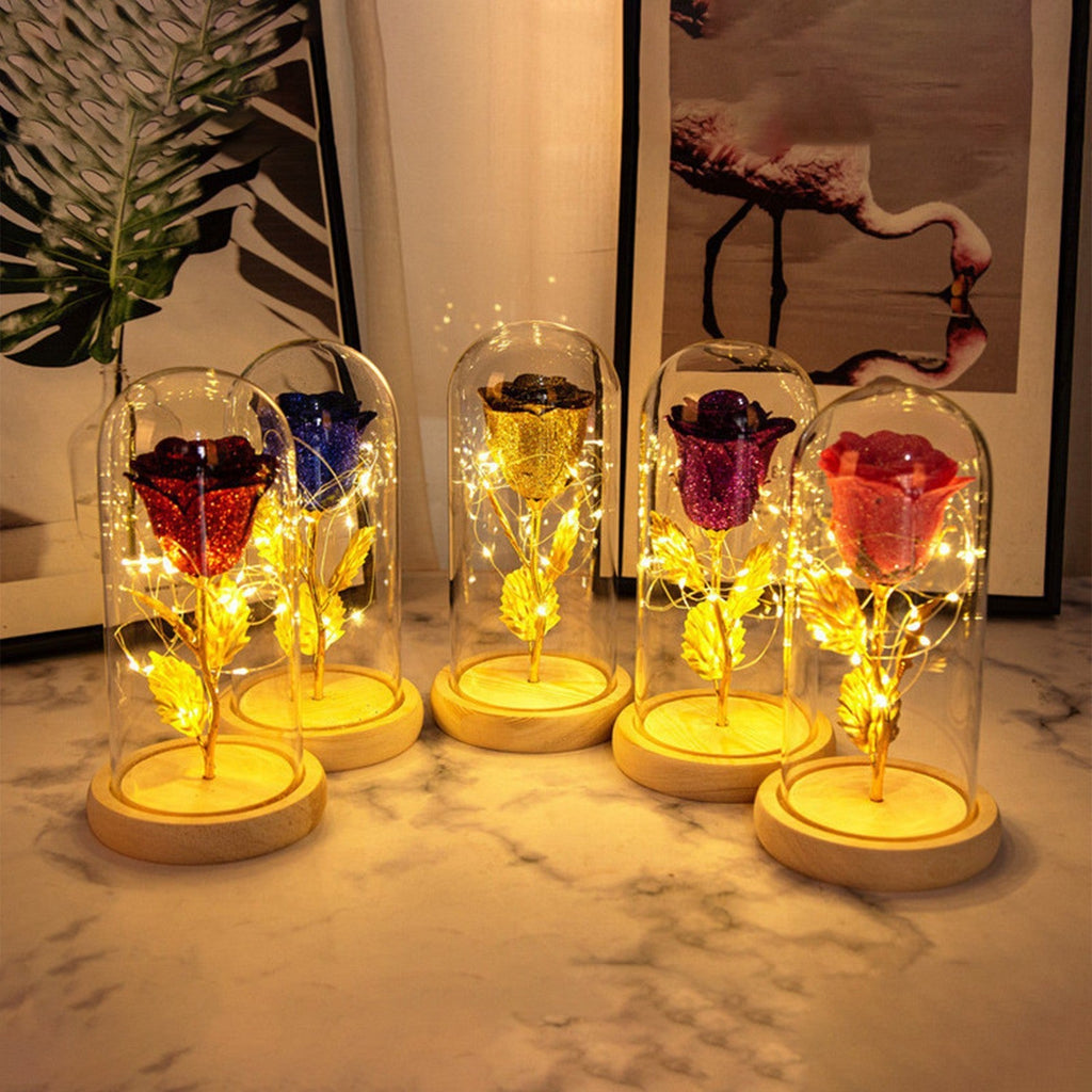 Eternal Rose LED Glass Dome Gift