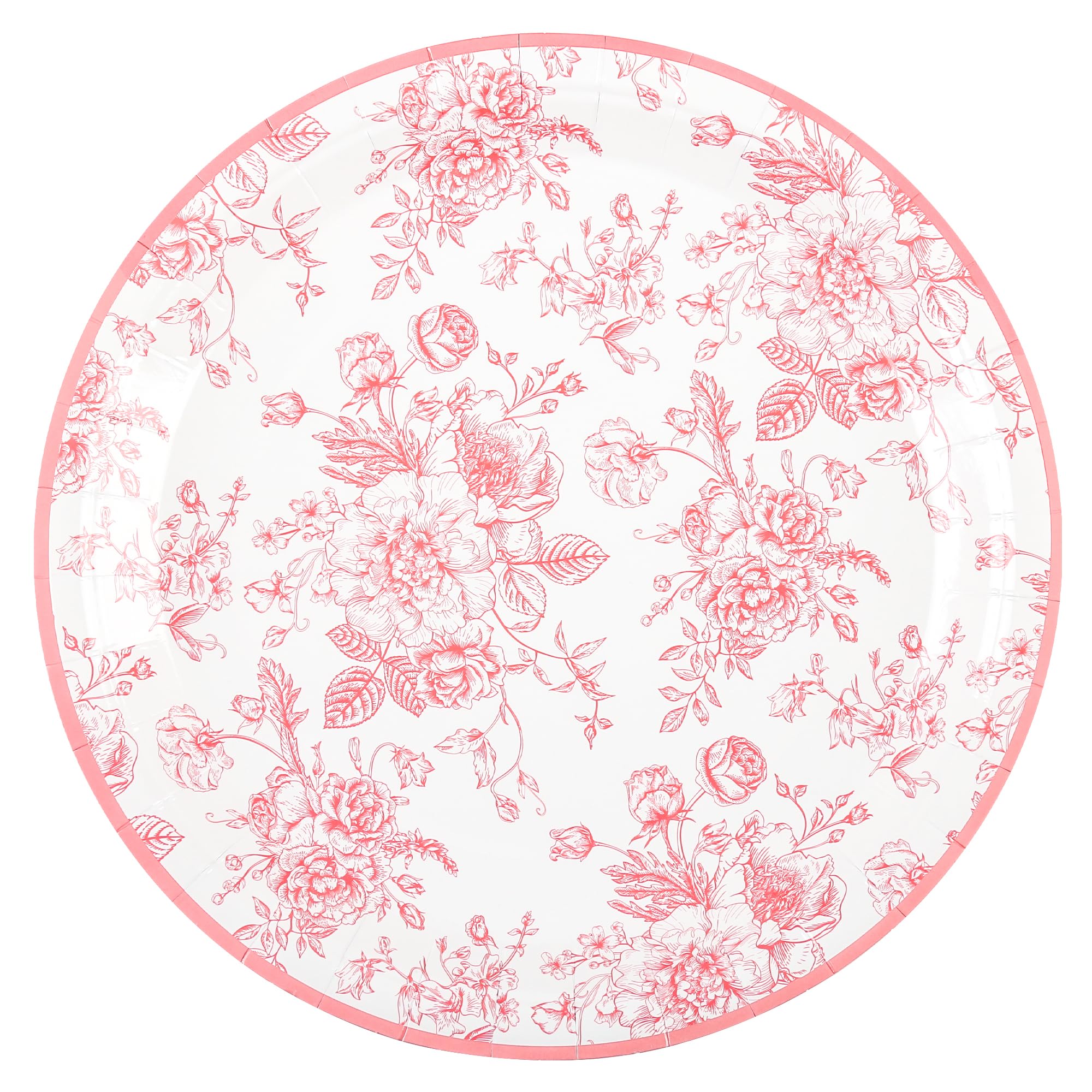 Pink Wildflower Toile Paper Plates — 48 Count, 9 in Round Dinner Plates