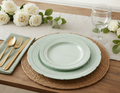 240-Piece Heavyweight Vintage Plastic Plates, Chateau Mint (Serves 120)